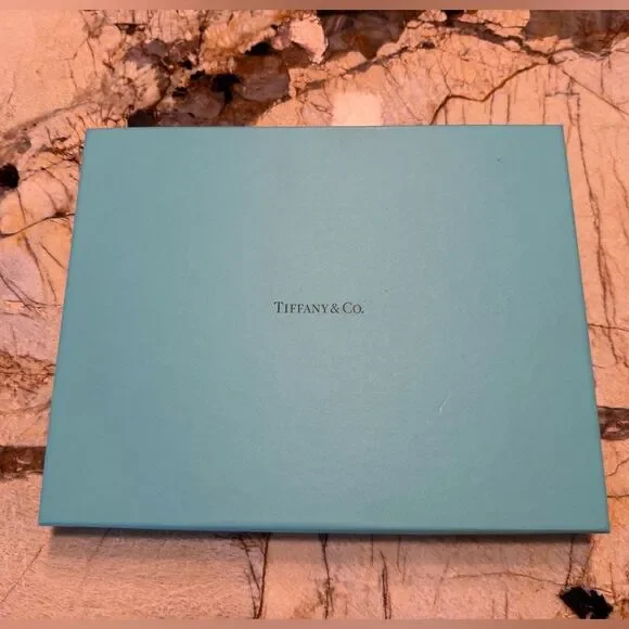 Tiffany & Co Large Black Leather Blue Box 2019 Journal Planner New Never Used - Picture 2 of 14